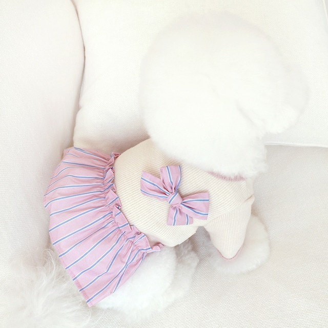 【予約】[near by us] Ribbon knit top (pink)