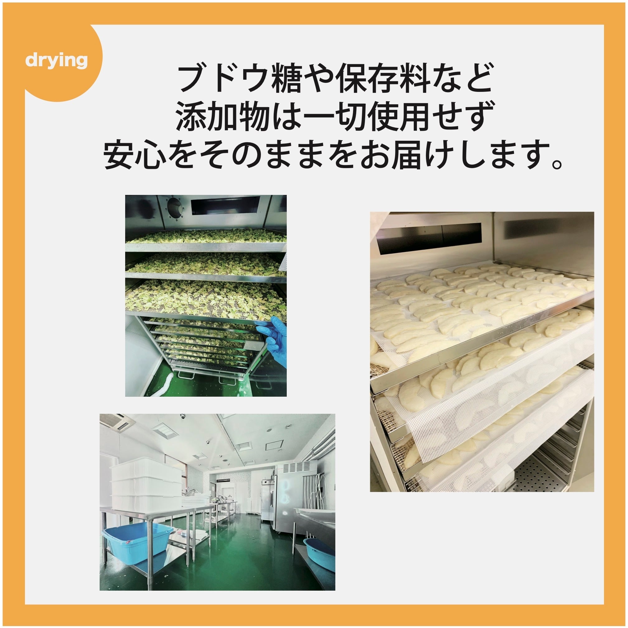 高知乾燥野菜＆国産果物の1 DAY お試しセット【送料込】 | ALL SLOW