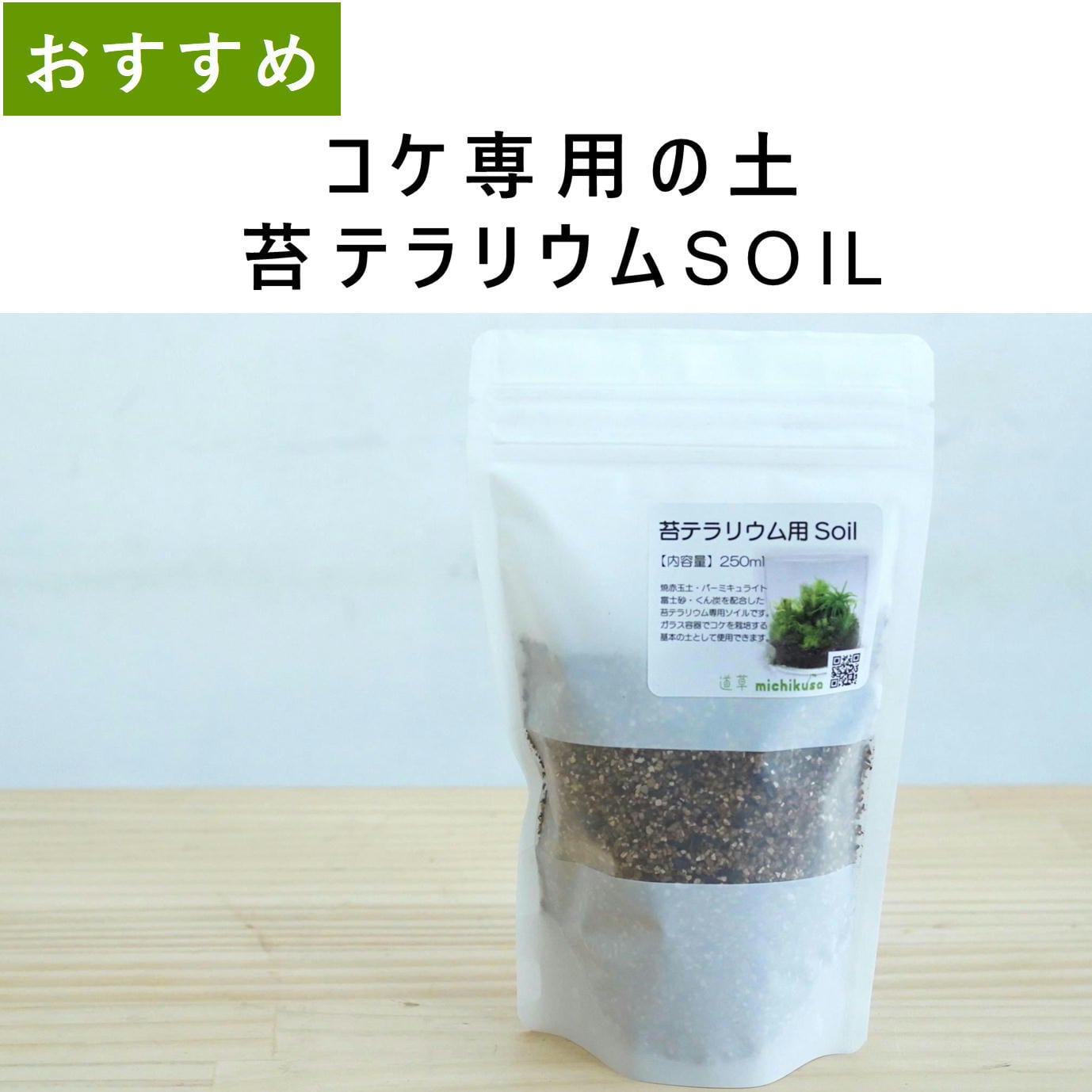 フジノマンネングサ4芽入り 苔テラリウム作製用素材苔 | 苔テラリウム