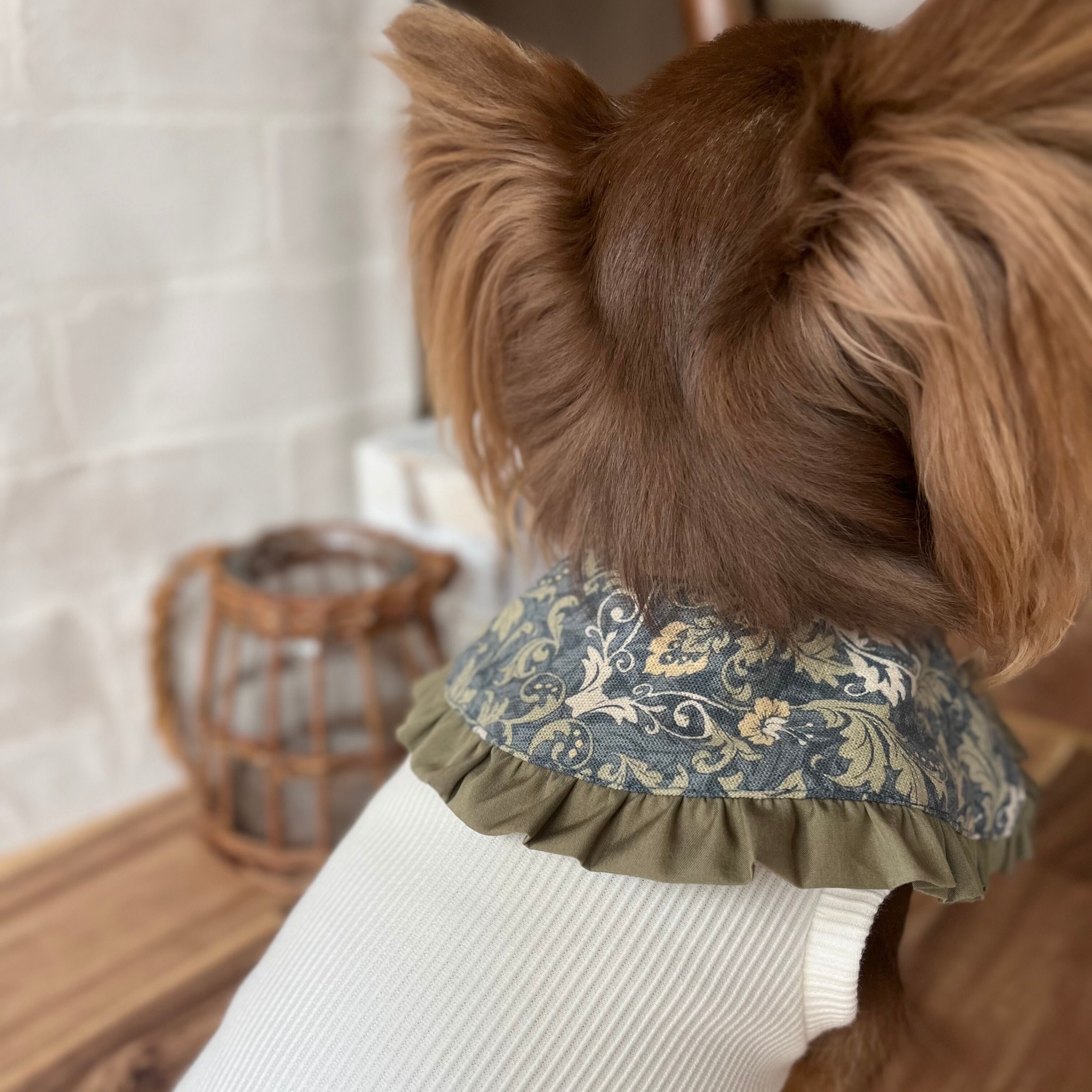 予約】お揃いつけ襟(犬用) | Pay ID