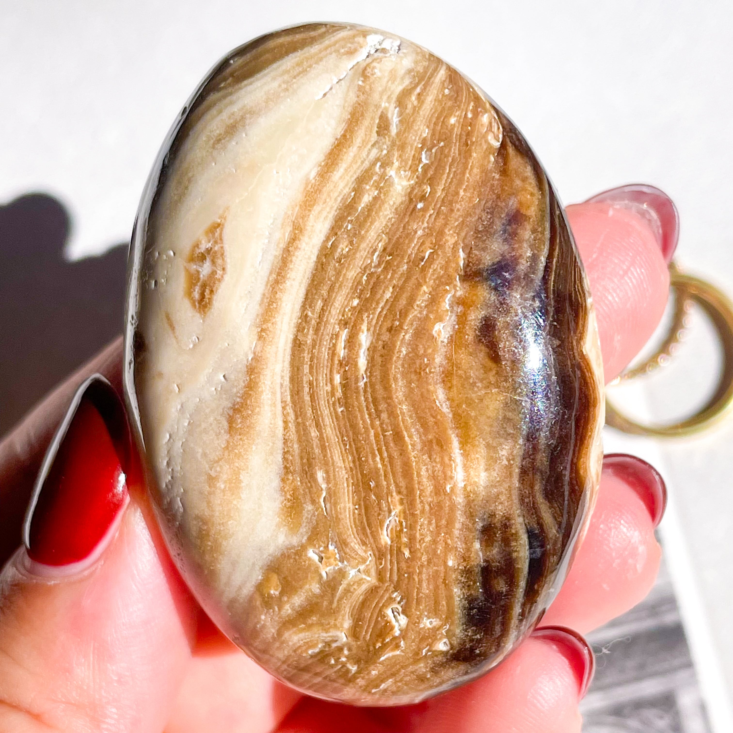 Chocolate Calcite Palm 3 ✧ チョコレートカルサイト | FLUXY