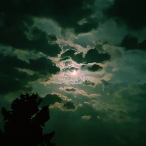 Moon Retreat 定期便