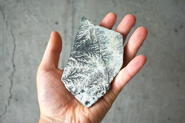 コンゴ産デンドライト/クリソコラ Dendrite / Chrysocolla 1245