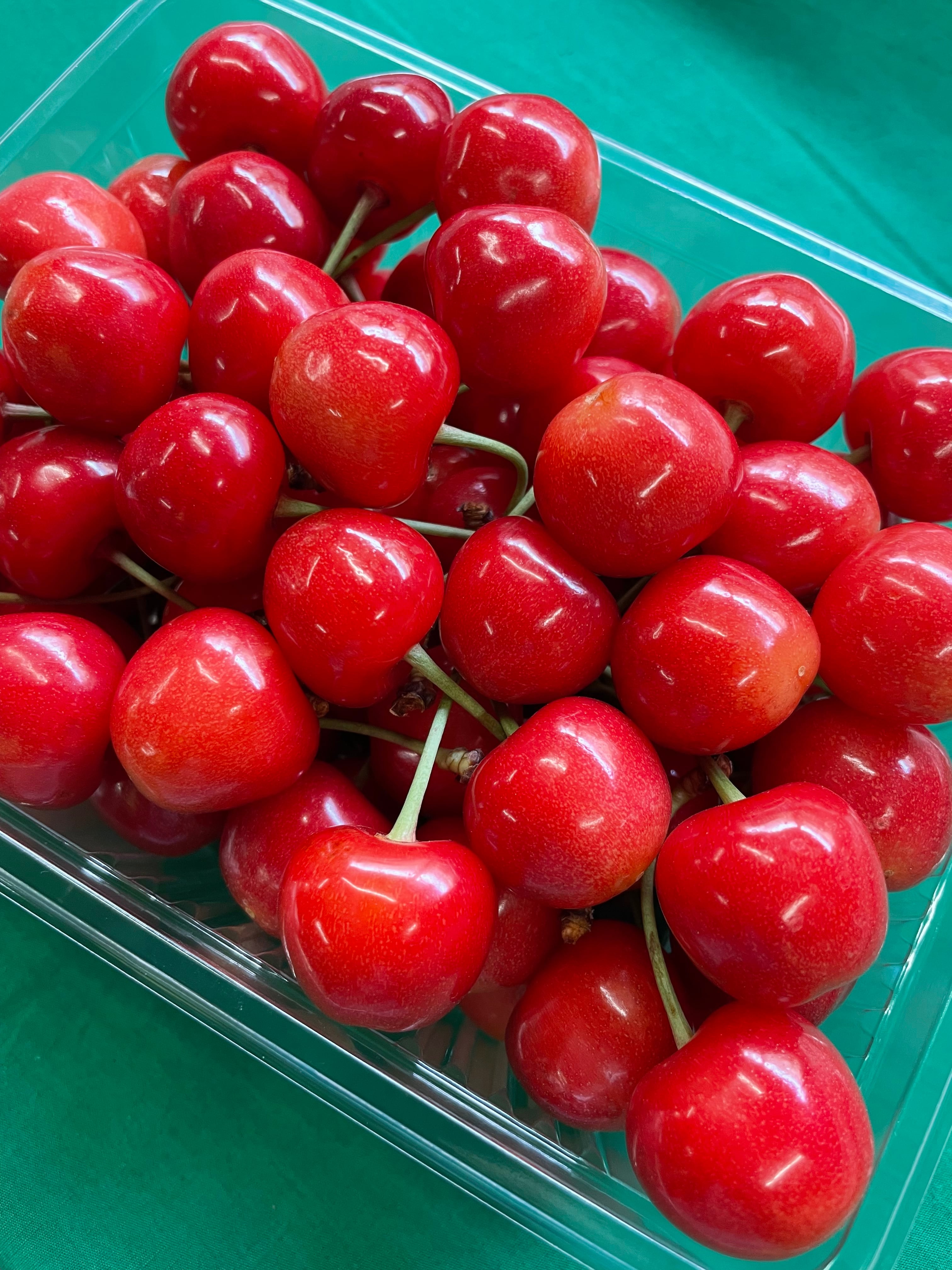 さくらんぼ | tairanouen