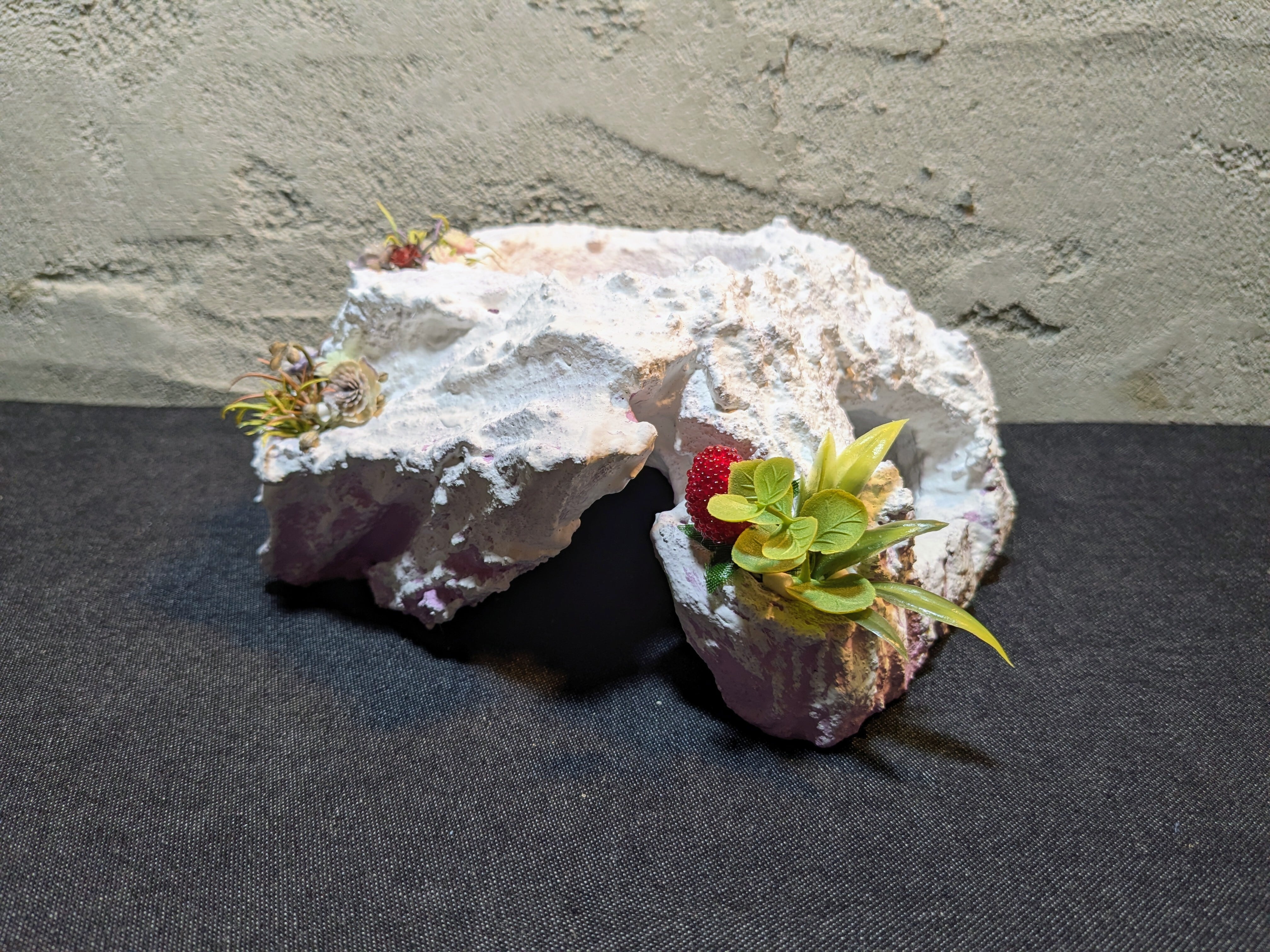 爬虫類用造形アート ともえ屋