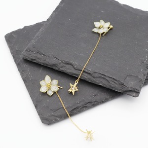 star flower（white）