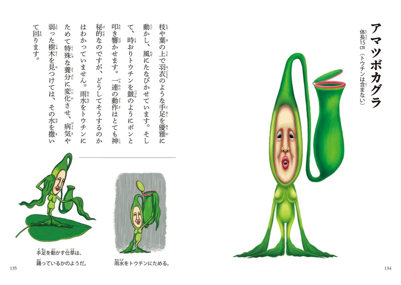 日本のこびと大全〜山や森林編〜 | こびとづかん公式WEBショップ 