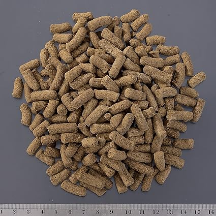 エキゾテラ GEX EXOTERRA トカゲブレンドフード400g 昆虫原料47