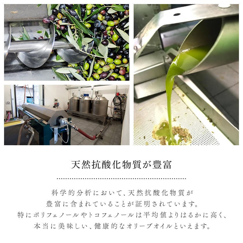 2025年新油入荷！オリーブジャパンW金賞 フラントイオ オリーブオイル