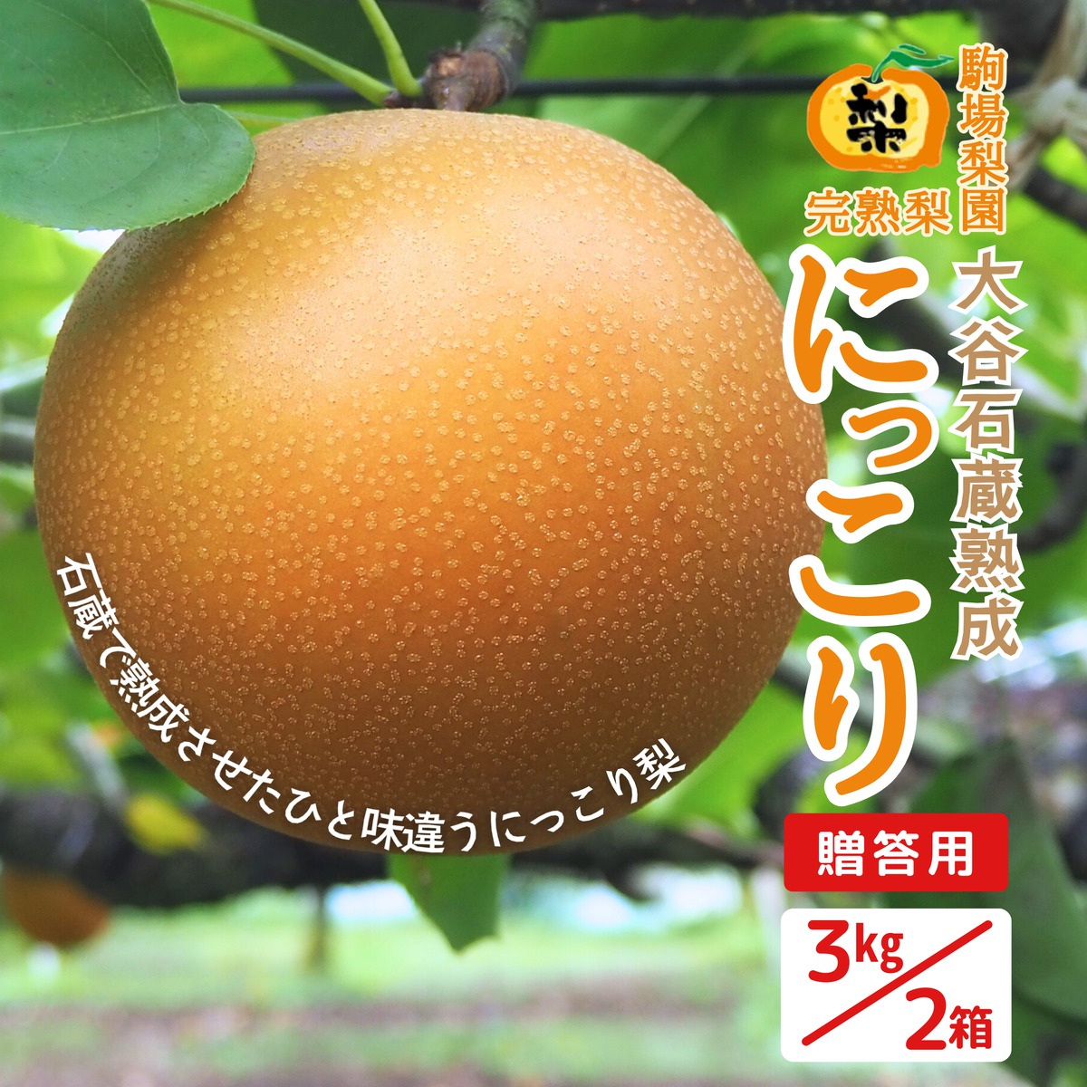 にっこり 3kg×2 贈答用 | 駒場梨園｜産直通販「あるよ」応援