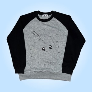 H4PPY5M1LE ラグランスウェット