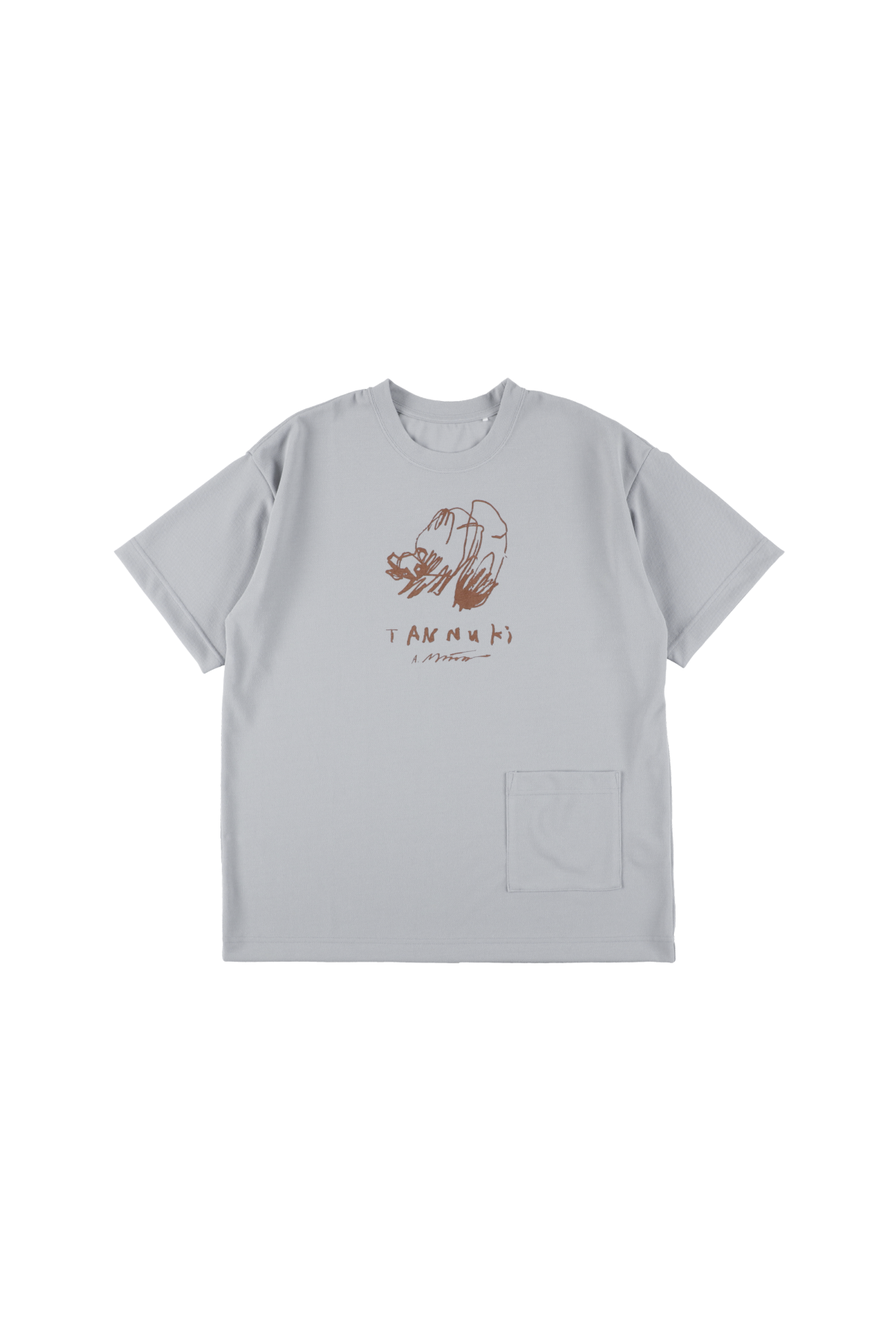 Cesca T 2 AM : Color Light Grey