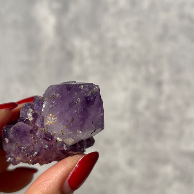 南アフリカ産 アメジスト カクタスクォーツ｜濃紫・オールドロット｜一点もの