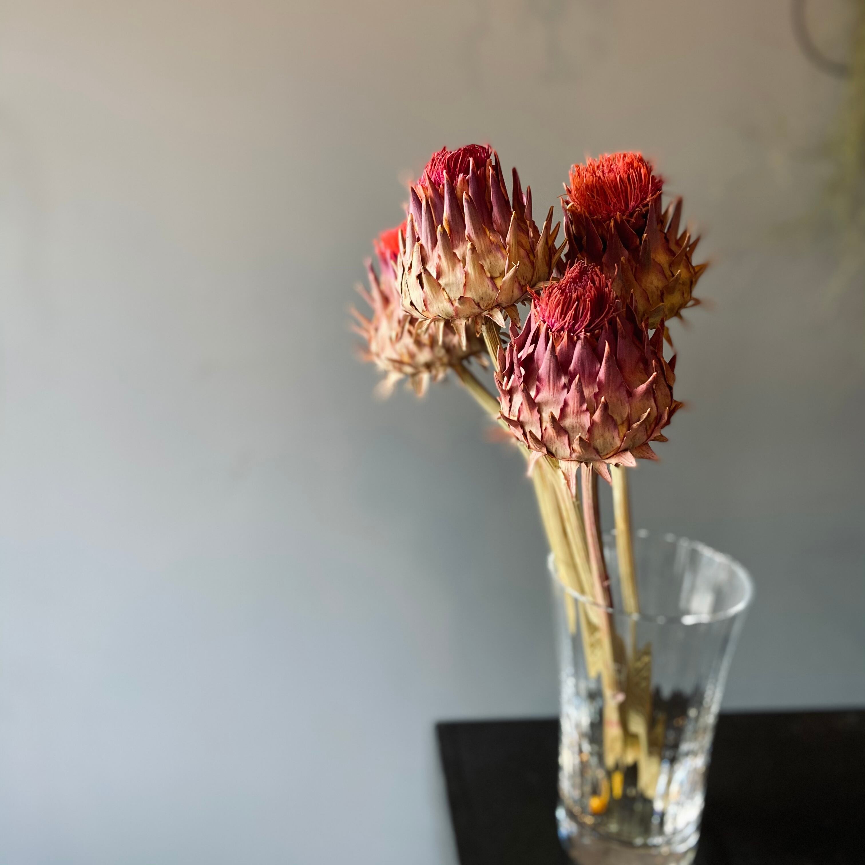 ドライフラワー アーティチョーク チョウセンアザミ Lily S Diary ードライフラワーと植物にまつわるモノー