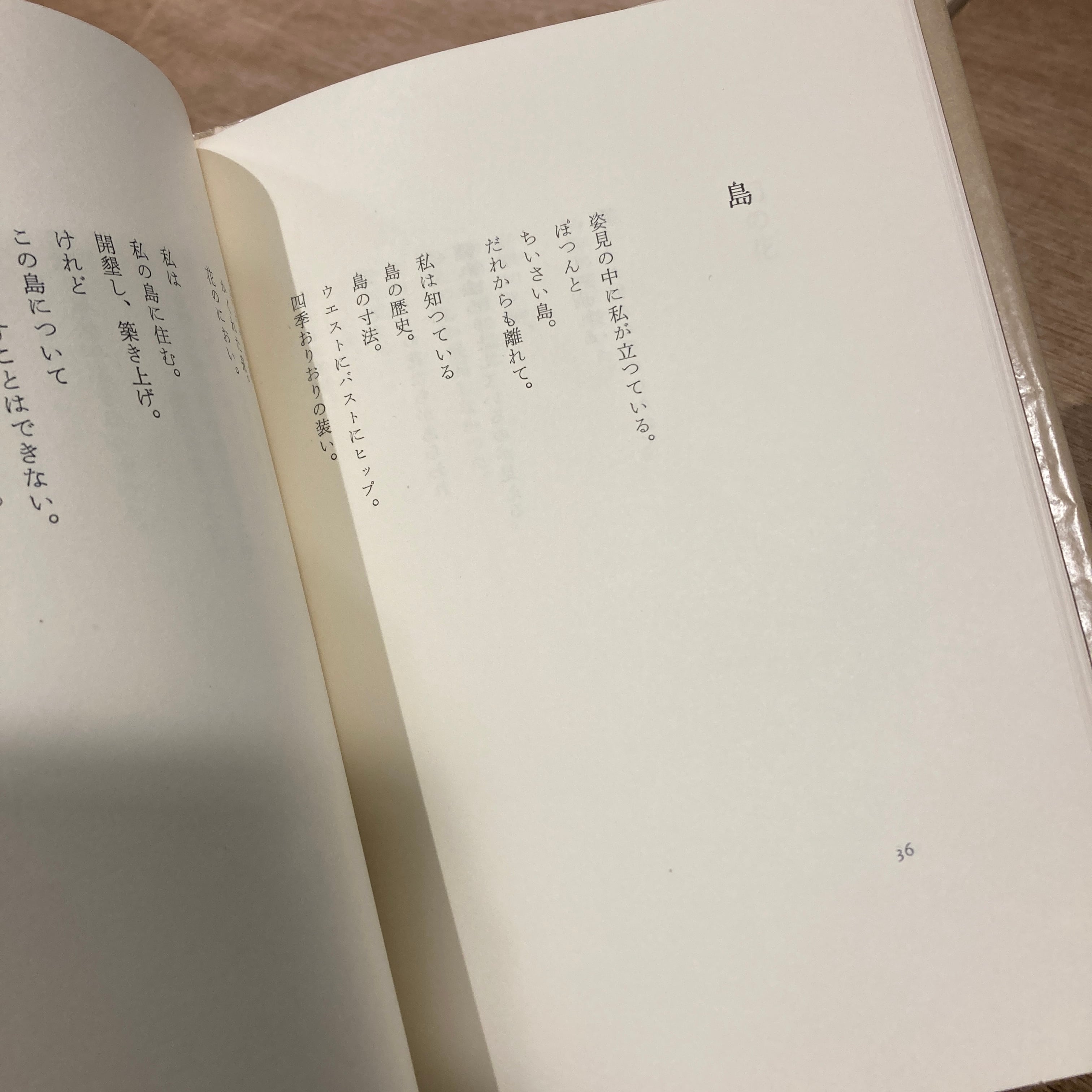 詩集 表札など / 石垣りん | 百年
