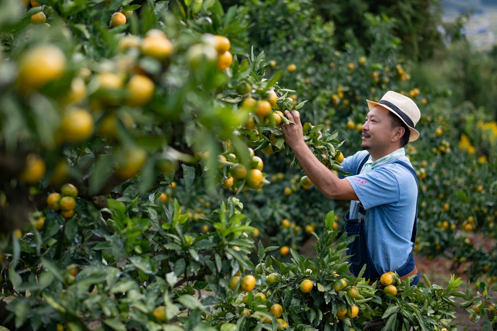 Gill様　茶箱一式　期間限定セール終了しました 世界にたった1つの茶箱！ 「扇面蒔絵茶箱」 ｜ 和樂web 美の国ニッポン