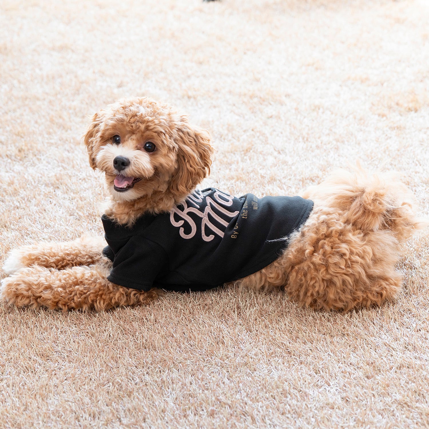 DOGもちのびT（BLACK） | 38explore