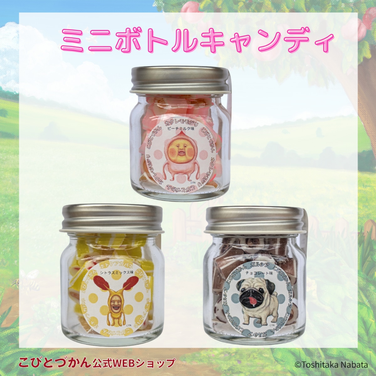 ミニボトルキャンディ | こびとづかん公式WEBショップ《こびと百貨店》