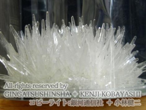 結晶育成キット - 透明結晶育成キット CLEAR CRYSTAL KIT - 銀河通信社