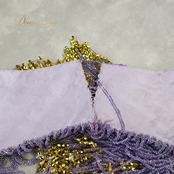 ベリーダンス オリエンタル 衣装 上下セット パープル系 トップス スカート ベルト チョーカー ベール アーム 紫 金 フリンジ 淡い 装飾 豪華 アーム飾り 腕飾り かわいい スリット 華やか ダンス衣装 イベント ステージ