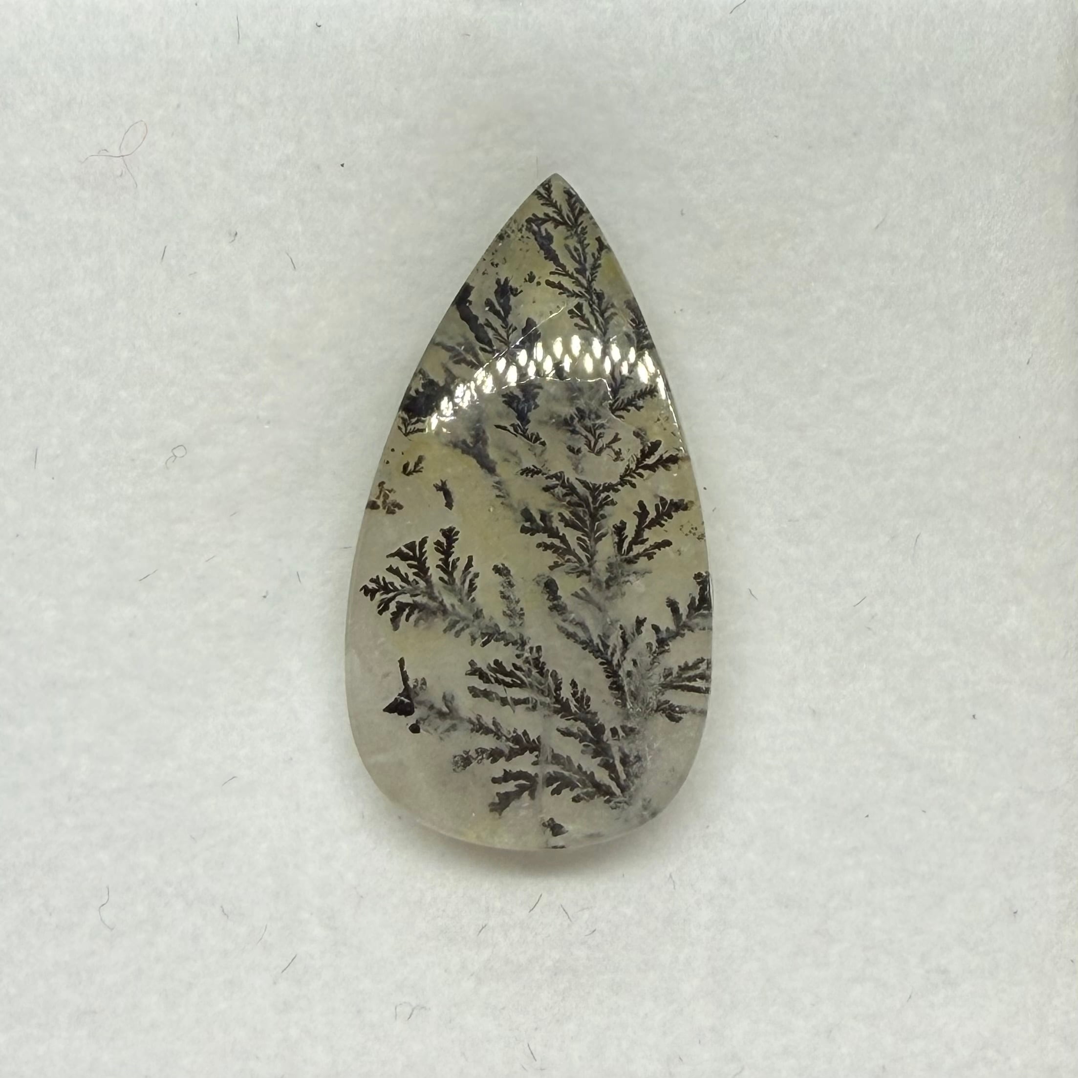 冬景色　デンドリティッククオーツ