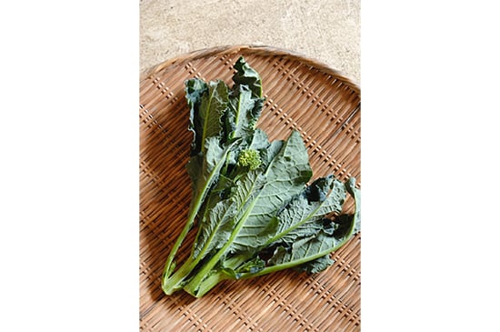 【ブロッコリー×菜花】アレッタ・150g