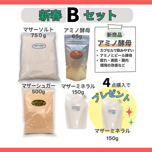 【新春キャンペーン】　新春Bセット(アミノ酵母含む４点セット）