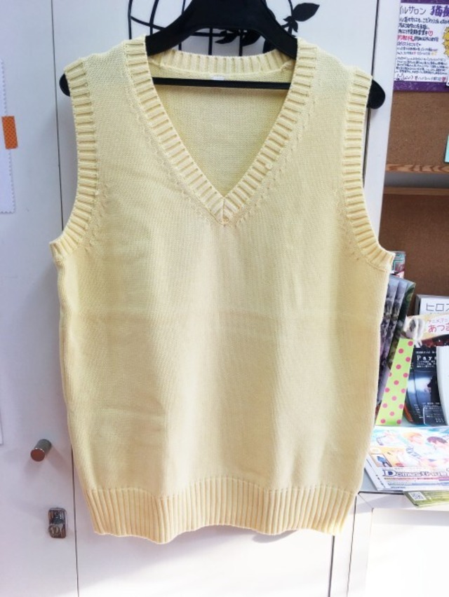 スクールベスト