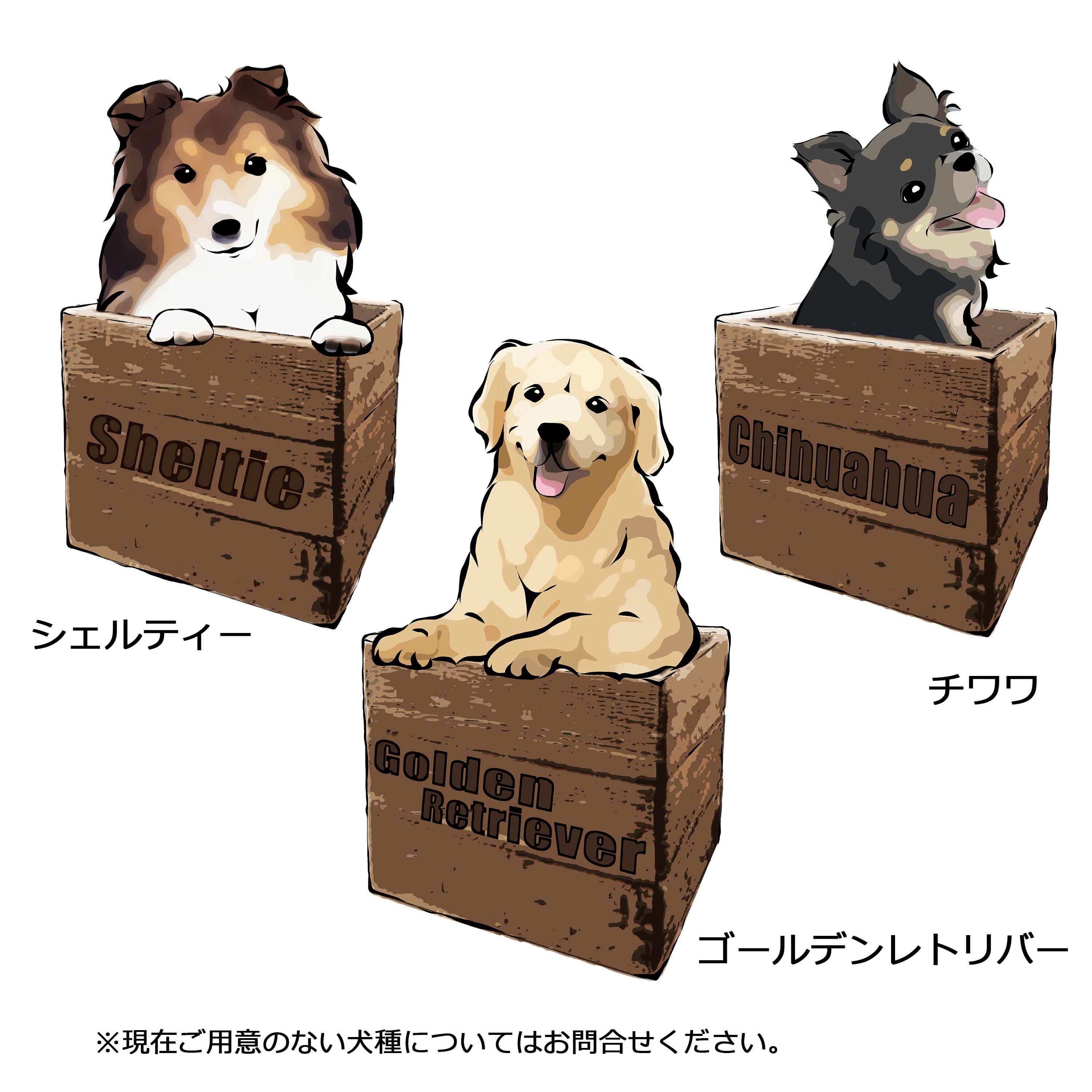受注生産】箱入り犬Tシャツ コーギー、柴犬、パグ、ペキニーズ、チワワ