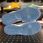 Nike WMNS Dunk Low "Canyon Rust" US10w/27cm