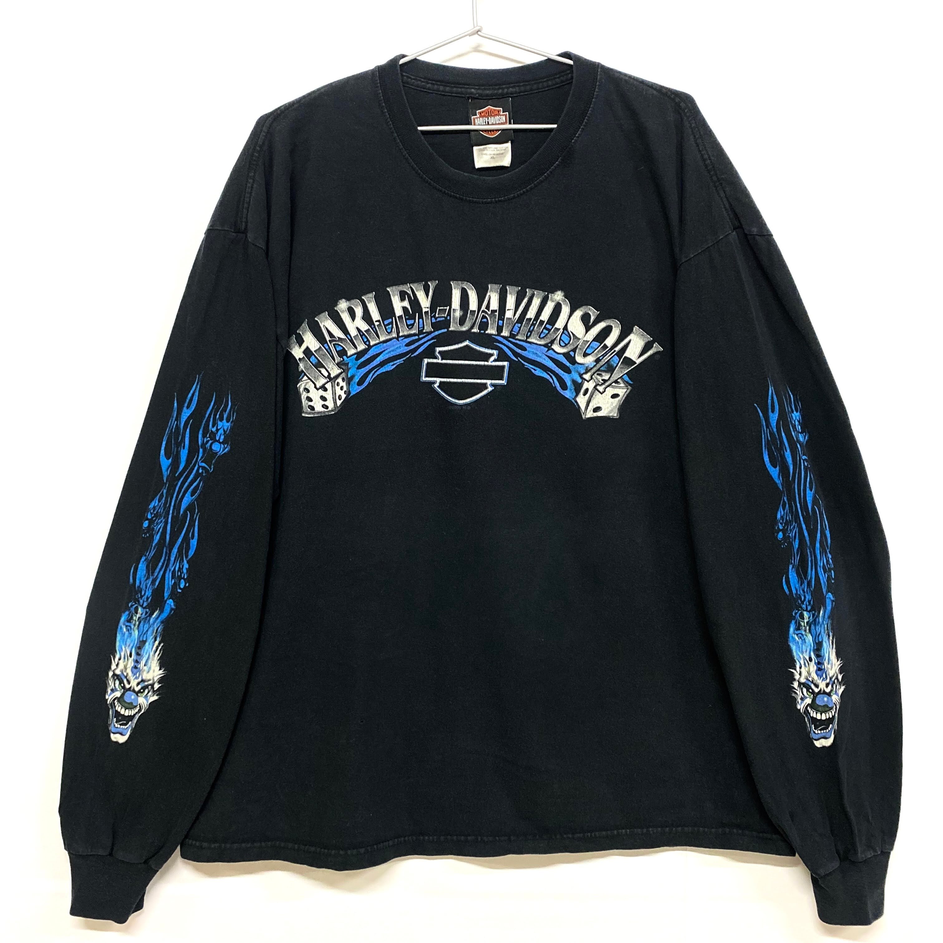 USA製 Harley-Davidson ハーレーダビッドソン ロングTシャツ バイク  