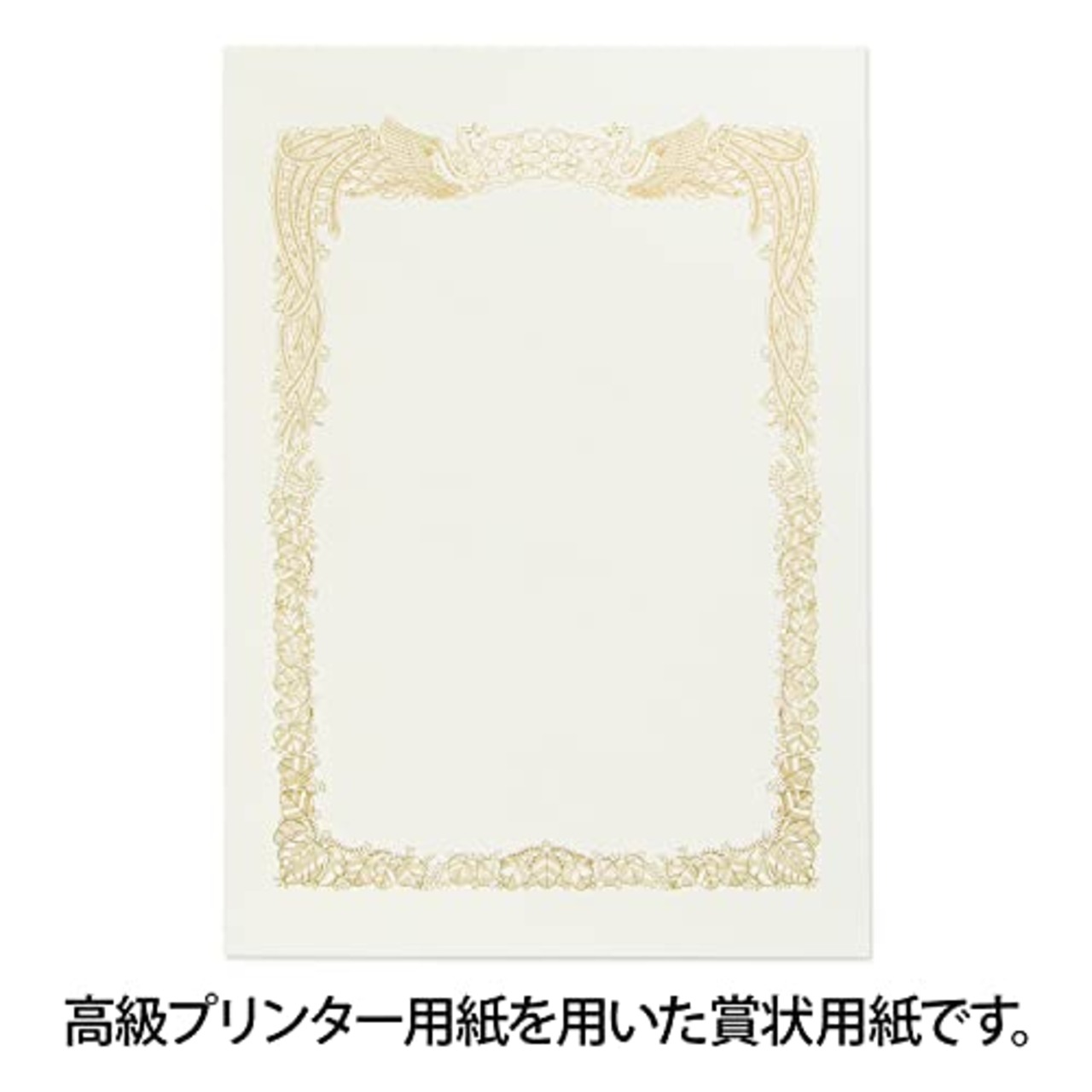 オキナ 賞状用紙 A4 横書き 10枚 プリンタ対応 SX-A4Y