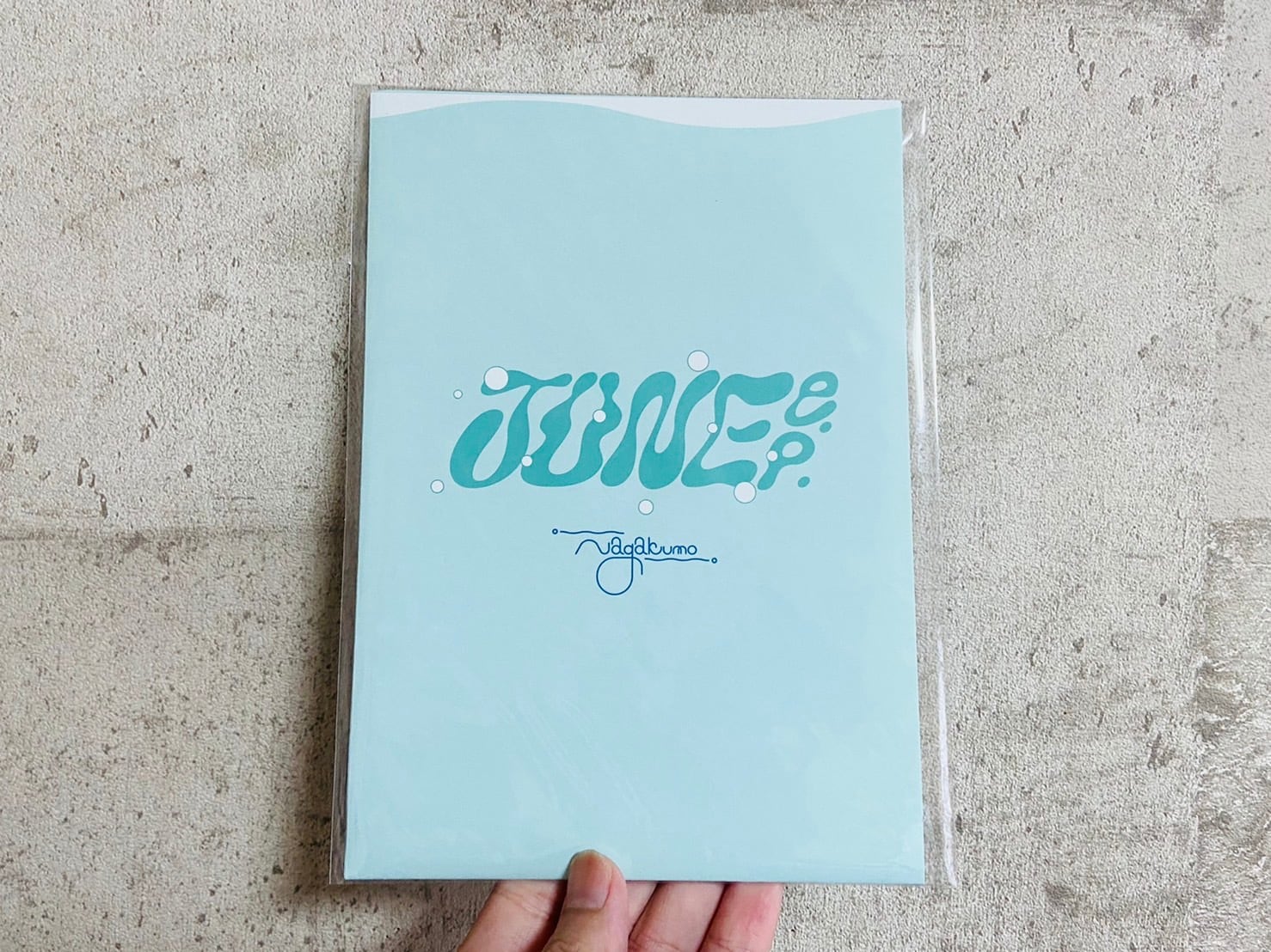 LP) Nagakumo / PLAN - EXPO【サイン無し】 | HOLIDAY! RECORDS DISTRO