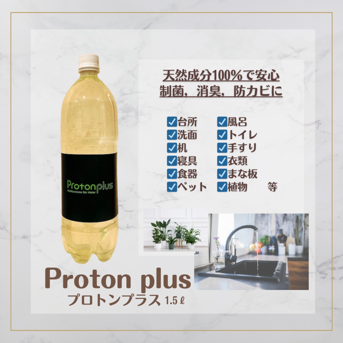 プロトンプラス 1．5Ⅼ【植物性乳酸菌、乳酸菌生成エキス】 | 乳酸菌