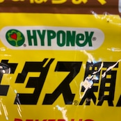リキダス 顆粒 500g