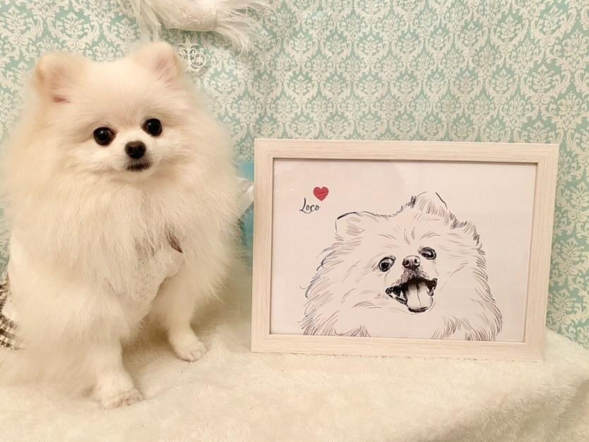 うちの子 モノクロアート データ納品 | ペットイラスト うちの子グッズ