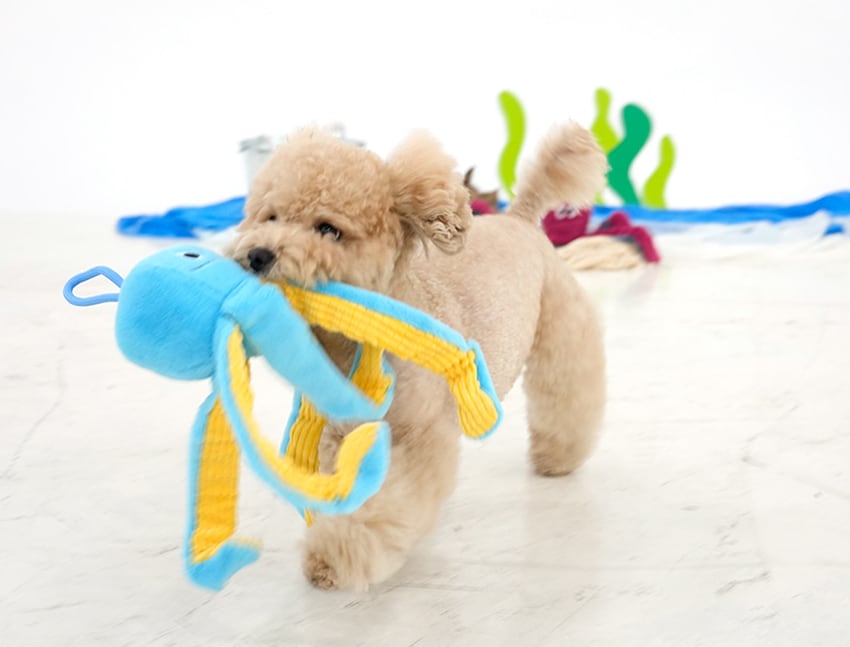 stretch octopus toy 2color /  ノーズワーク ペット 犬 おもちゃ 知育玩具 おやつ隠し 可愛い わんちゃん ストレス解消 音が鳴る toy カシャカシャ toy10