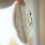 Caramel nuts Ice cream - アゲートヒーリングチャイム / Agate Sun Catcher Wind Chime 648