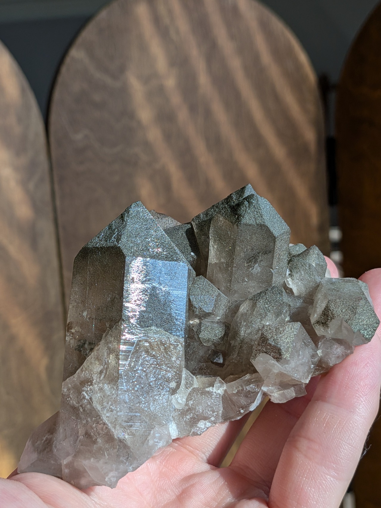 アルプス水晶・スモーキークォーツ（クローライト共生） ⭓ クラスター原石 ⭔ スイス・ウーリ州産