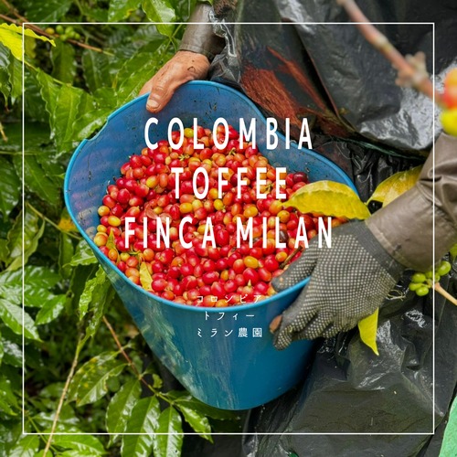 【200g】Finca Milan  Toffee