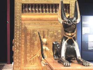 セイキム・セイキーム・レイキ（SSR） 遠隔伝授　レベル３