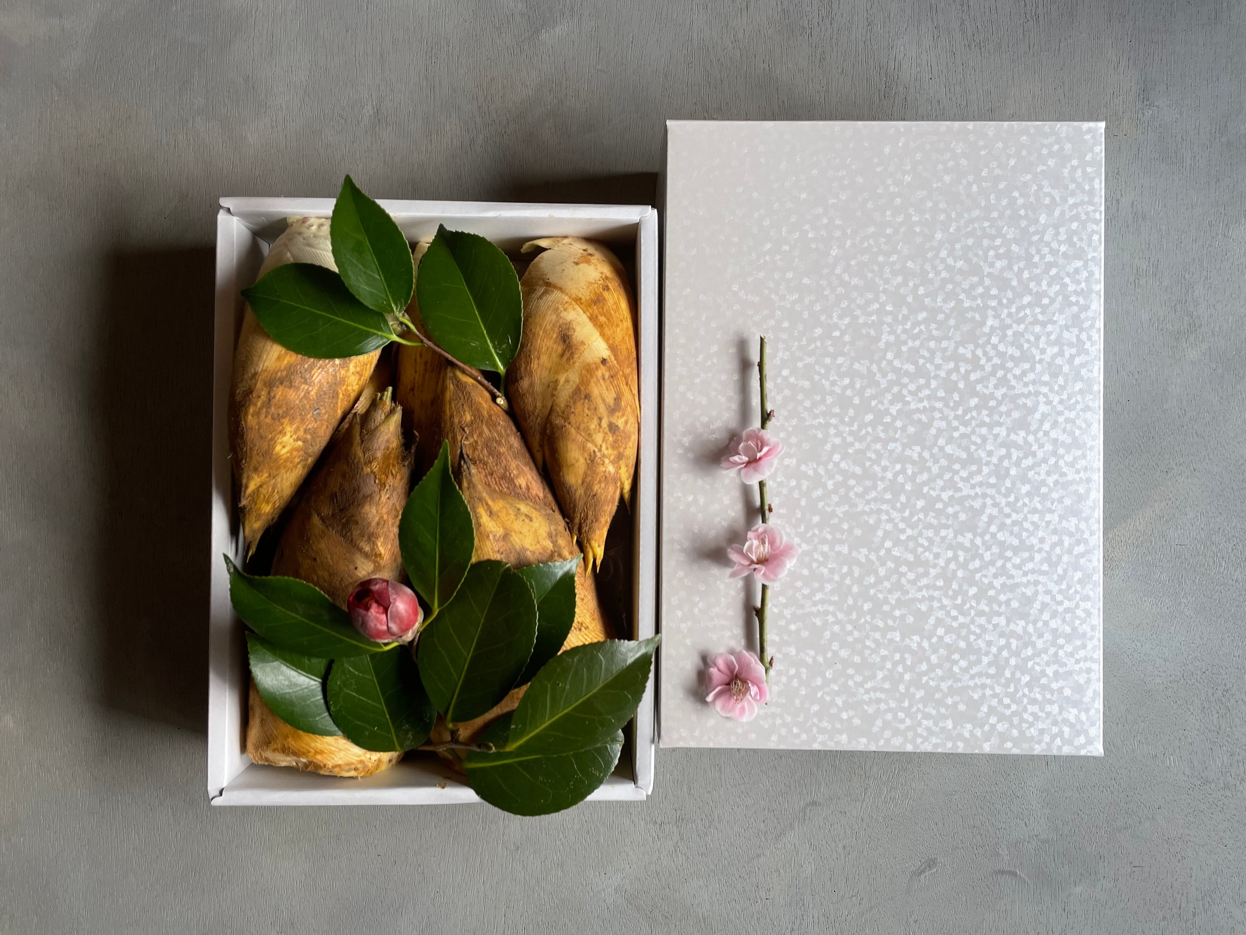 期間限定］京たけのこ白箱（上・白子）約1.5kg 3月下旬～5月初旬