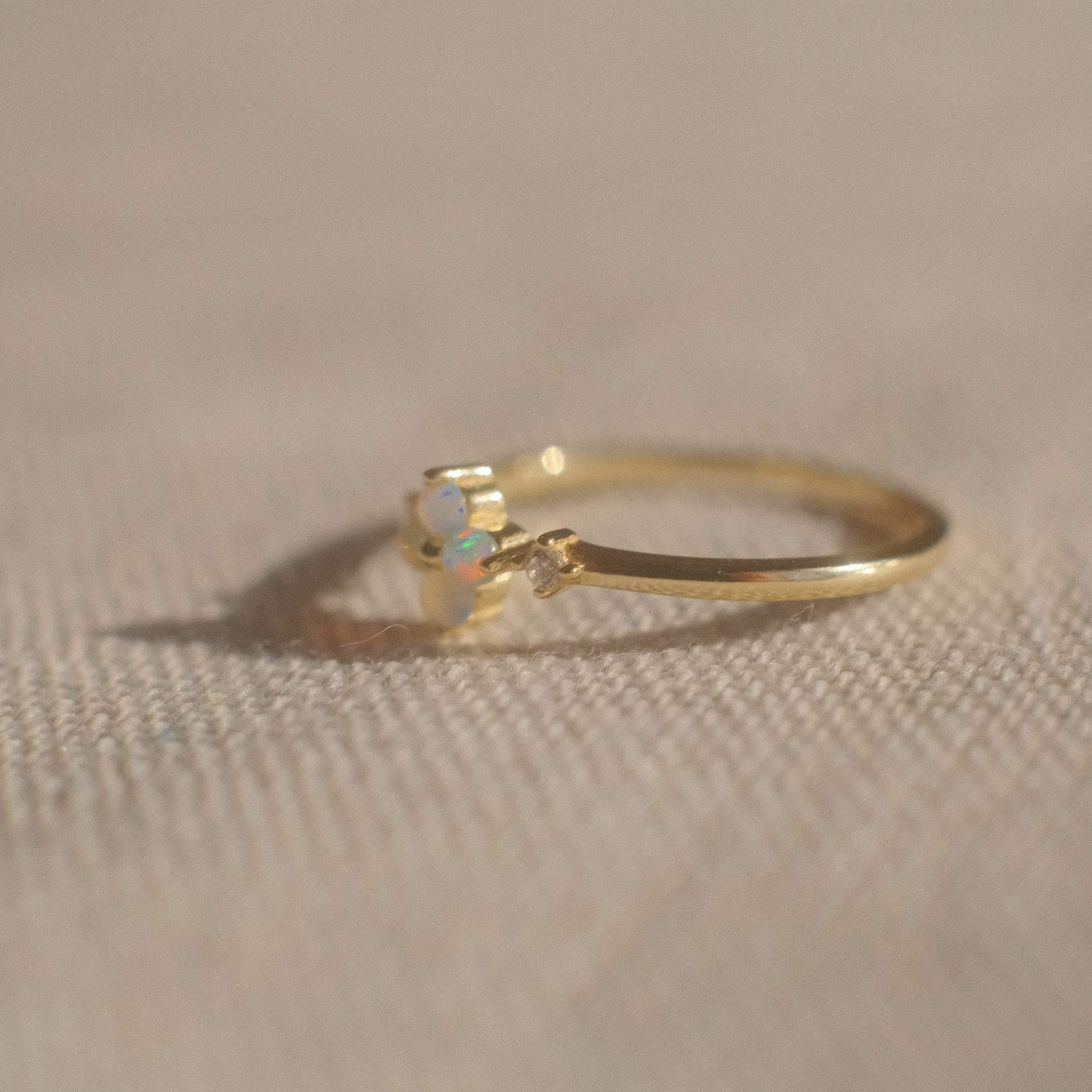 The Princess Ring Collection: 21 | flemington