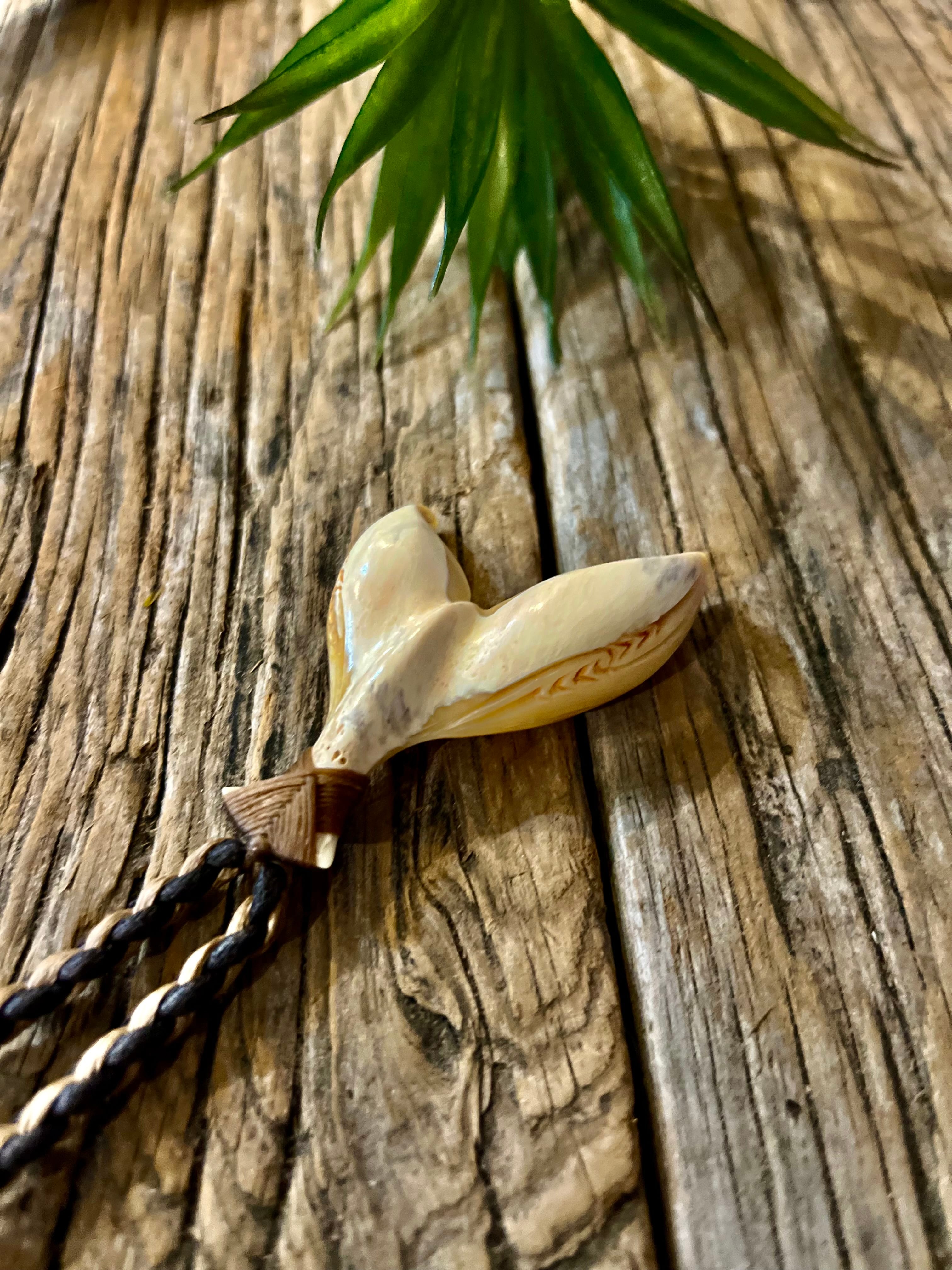 マッコウクジラ歯テール | Kz'bone