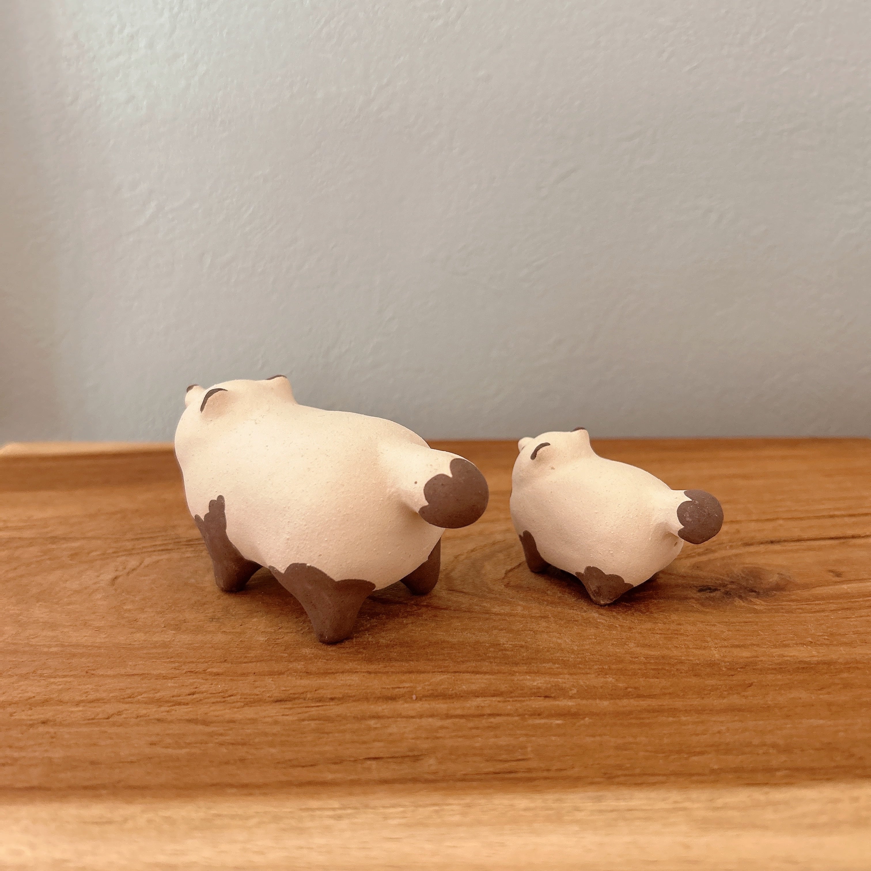 仲良したぬき | BlueBell