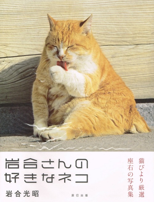 岩合さんの好きなネコ（写真集）（帯付き）