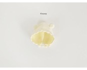 韓国子供服 / 26winter / VANILLA BUNNY / ポンポンニットボンネット / キッズ / 冬服 *FREE*