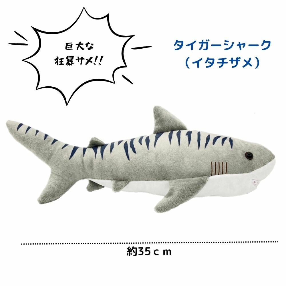ぬいぐるみ タイガーシャーク イタチザメ サメ | 気仙沼 シャークス