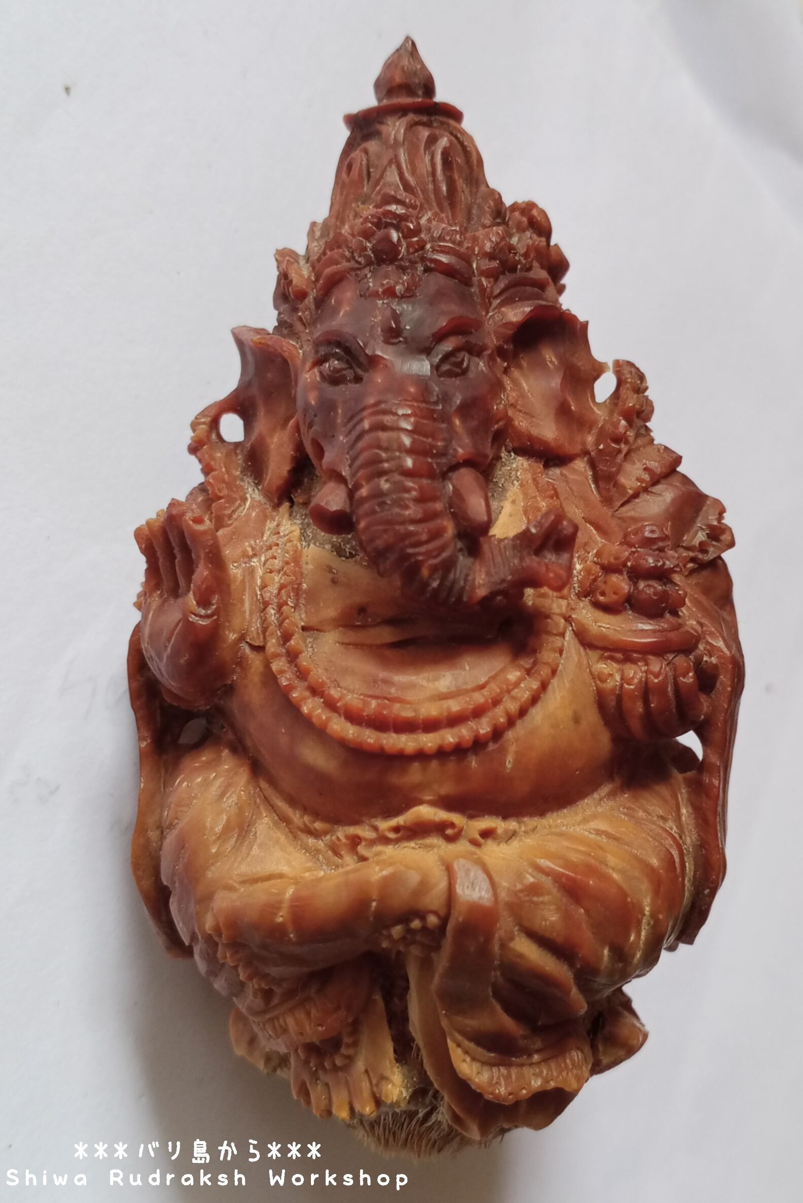 Kaukah (カウカ)】ガネーシャ彫刻☆左向きのお鼻 | Shiwa Rudraksha