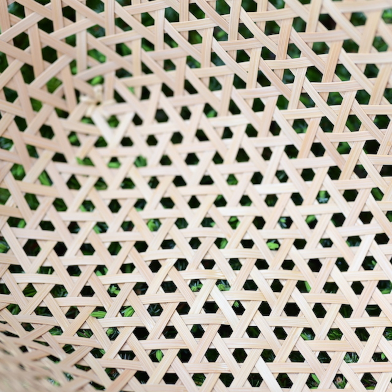 竹聲館 整理かご